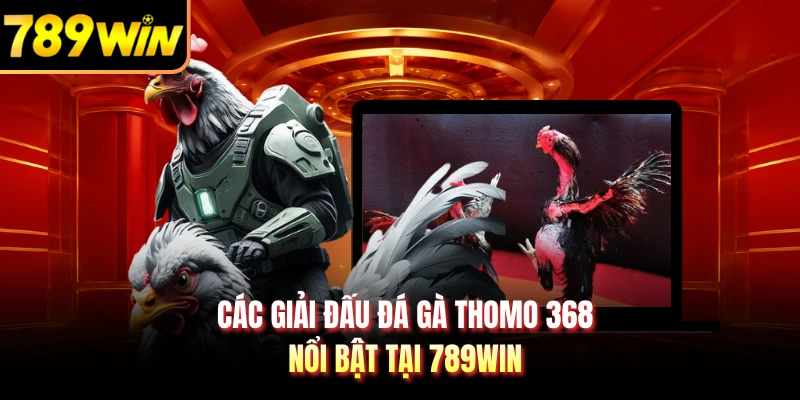 Các giải đấu đá gà Thomo 368 nổi bật tại 789WIN 