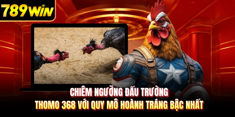 Chiêm ngưỡng đấu trường Thomo 368 với quy mô hoành tráng bậc nhất 