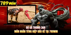 Đá Gà Thomo 368 - Mãn Nhãn Từng Hiệp Đấu Kê Tại 789WIN 