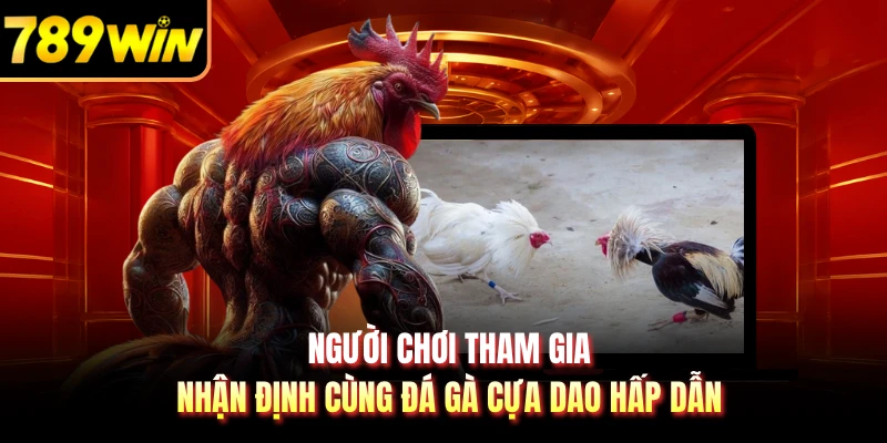 Người chơi tham gia nhận định cùng đá gà cựa dao hấp dẫn 