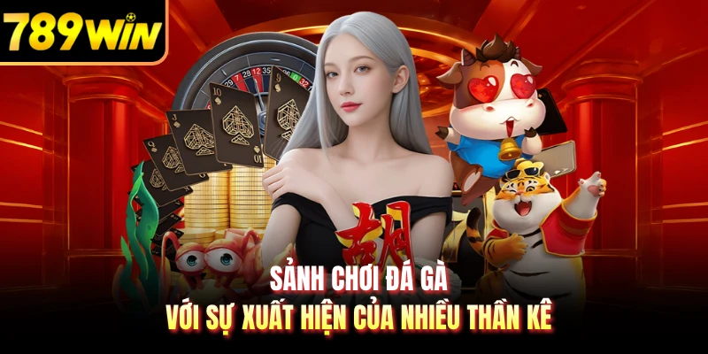 Sảnh chơi đá gà với sự xuất hiện của nhiều thần kê