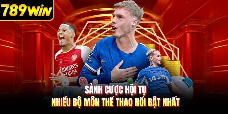 Sảnh cược hội tụ nhiều bộ môn thể thao nổi bật nhất